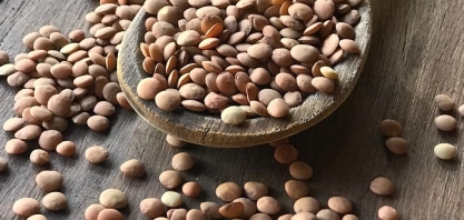 Lentilhas: muito além do Réveillon