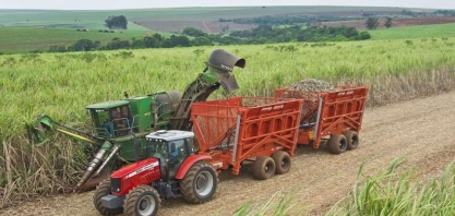 Safra de cana tem crescimento acumulado de 4,6%