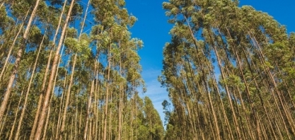 Fábrica é vista como salvação de cidade que sofre sem emprego