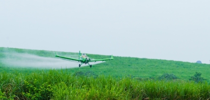 Maturadores entregam ganhos do campo a indústria
