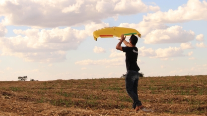 Setor sucroenergético lidera demanda pelo uso de drones na agricultura