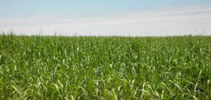 ATR Pernambuco fecha em baixa no mês de novembro