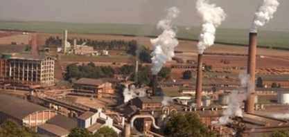São Martinho eleva produção de açúcar em 11,4% em 2019/20 e em 6,9% a de etanol