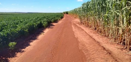 Integração cana e soja em Mato Grosso do Sul maximiza a renda dos produtores
