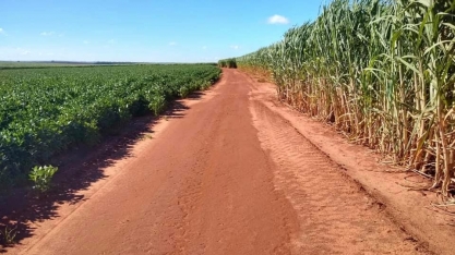 Integração cana e soja em Mato Grosso do Sul maximiza a renda dos produtores