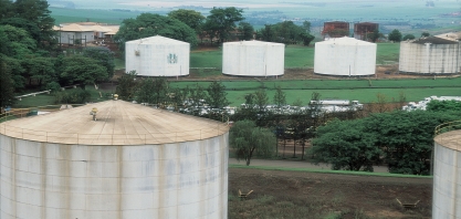 O RenovaBio já vai incrementar a economia do setor em 2020?