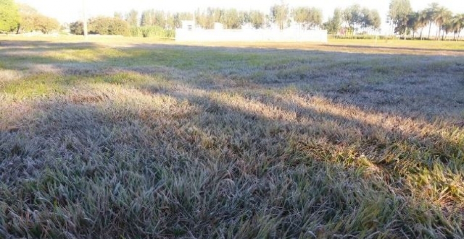 Foto: Auro Akio Otsubo