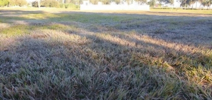 Embrapa alerta para previsão de geada em junho de 2020