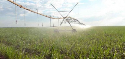 A biodiversidade agradece