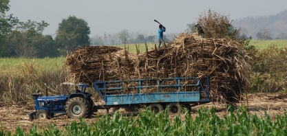 Cotações do açúcar sobem com prejuízos provocados pelo clima adverso na Tailândia