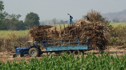Cotações do açúcar sobem com prejuízos provocados pelo clima adverso na Tailândia