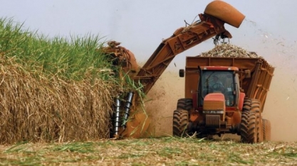 Agronegócio invade diplomacia e faz Brasil formar time de adidos agrícolas