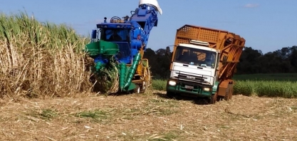 Safra canavieira 2019/20 em Alagoas apresenta bons números