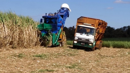 Safra canavieira 2019/20 em Alagoas apresenta bons números