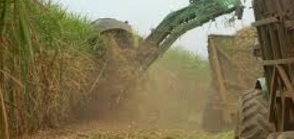 Cresce demanda de companhias por certificados de energia renovável