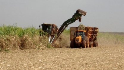 Boletim de monitoramento da cana | LNBR/CNPEM