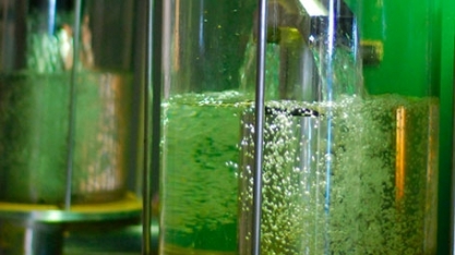 Serpro lança plataforma de concessão de créditos de carbono