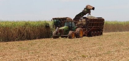 Cana-de-açúcar: moagem atinge 44 milhões de toneladas em MS