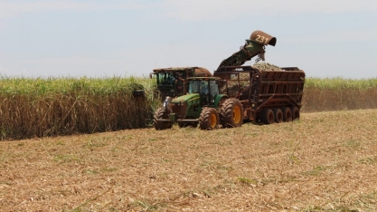 Cana-de-açúcar: moagem atinge 44 milhões de toneladas em MS