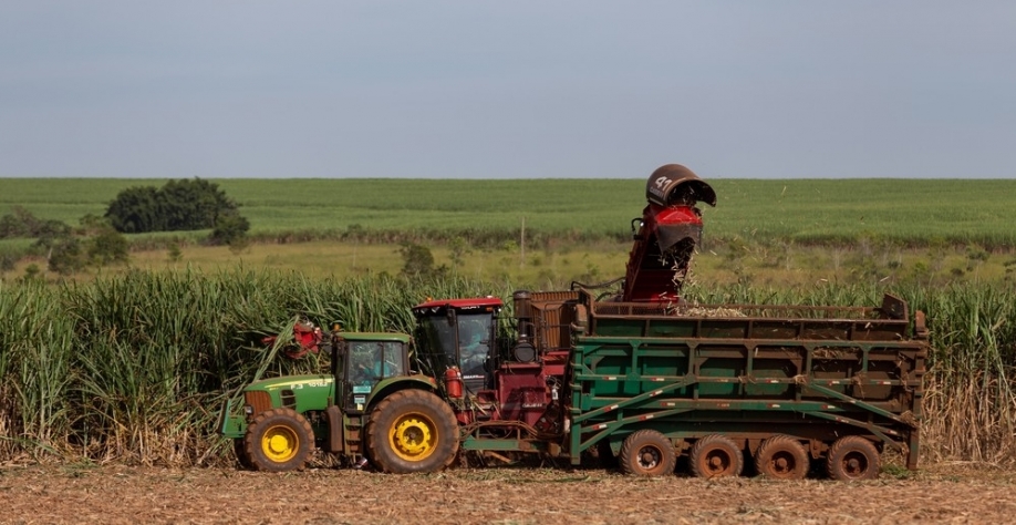Máquina durante os trabalhos de colheita de cana de açúcar em fazenda de Uberaba — Foto: Companhia Mineira de Açúcar e Álcool/Divulgação