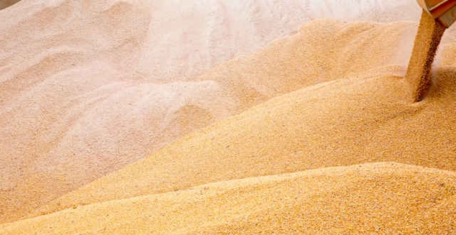 Produto do agronegócio com maior peso nas compras mundiais da China, a soja sente mais impacto pelo temos de queda na economia (Imagem: REUTERS/Vincent Mundy)