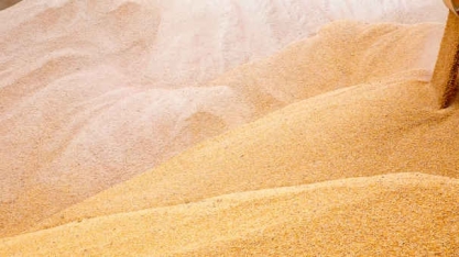 Derivativos agro também despencam com temor do coronavírus cortar demanda