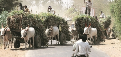 Brasil e Índia devem se unir para tornar etanol uma commodity global, diz ministro Bento Albuquerque