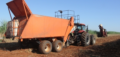 Produtores de cana mais eficientes também serão beneficiados com o RenovaBio