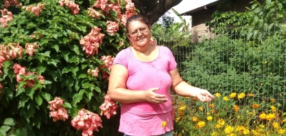 Economista faz sítio quase falido virar negócio moderno, lucrativo e sustentável