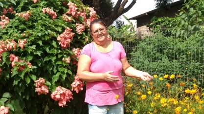 Economista faz sítio quase falido virar negócio moderno, lucrativo e sustentável