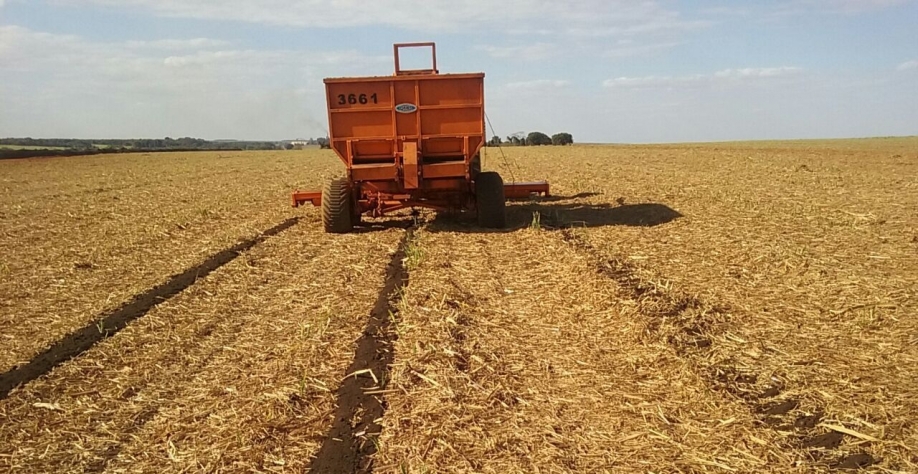 A otimização do uso da torta de filtro está diretamente ligada à utilização de equipamentos eficientes para a sua aplicação. Crédito: DMB