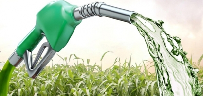 Sindaçúcar-AL: produção acumulada de etanol volta a crescer na safra 19/20