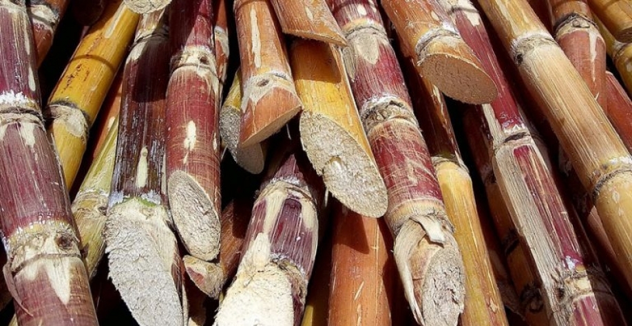 Foto: Rufino Uribe via Wikimedia Commons/CC BY-SA 2.0