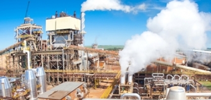 Na Índia, ministra fala sobre produção de etanol e tarifa de carne de frango