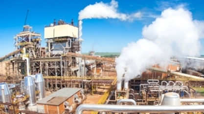 Na Índia, ministra fala sobre produção de etanol e tarifa de carne de frango