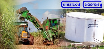 Alcoolvale: começam as contratações para a safra 2020