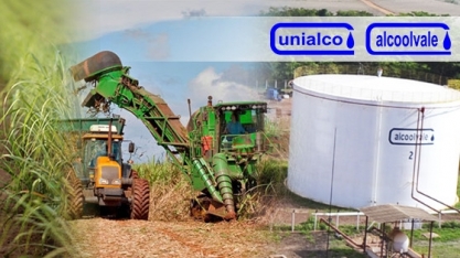 Alcoolvale: começam as contratações para a safra 2020