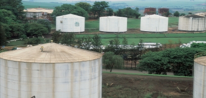 “Devemos priorizar o mercado interno de etanol”, aconselha Presidente do Sindaçúcar/PE