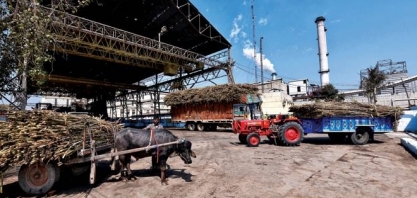 Produção de açúcar na Índia caiu 30% nos primeiros três meses da safra