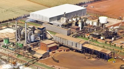 2020 marca o início de maior reabertura de usinas.  E, a partir de 2023, recomeçam os “greenfields”