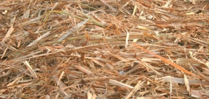 BNDES aprova financiamento de R$ 97,1 mi à Cocal para planta de biogás