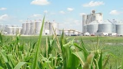 Produção de etanol nos EUA cai 1,90% na semana, para 1,029 milhão de barris/dia