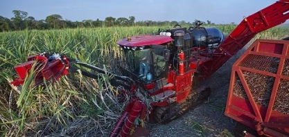 Case IH lidera venda de colhedoras de cana-de-açúcar