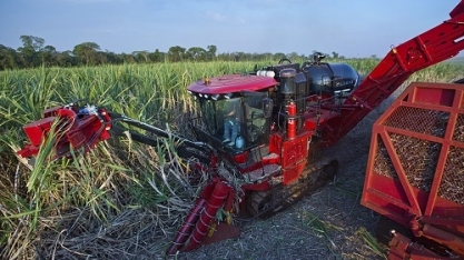 Case IH lidera venda de colhedoras de cana-de-açúcar
