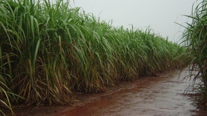 Maior volume de chuva no país ultrapassa os 100mm