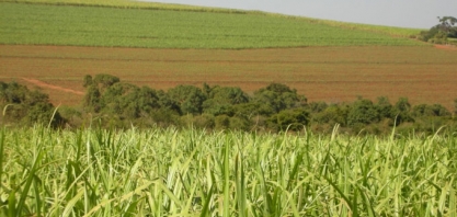 ATR PR: valor projetado sobe 15% em dezembro