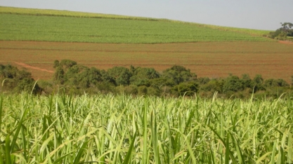 ATR PR: valor projetado sobe 15% em dezembro