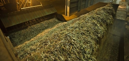 Sindaçúcar-AL: safra acumula 12,9 milhões de toneladas de cana processadas