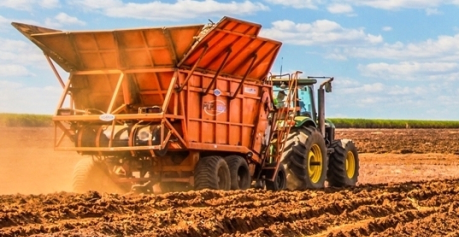 Canavial na Atvos. Crédito: Atvos