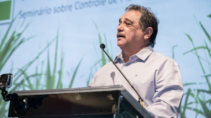 O setor volta a dar sinais de recuperação. Mas é preciso reduzir o custo de produção